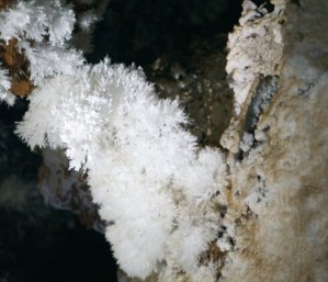 cuevas_castanar-4[3]