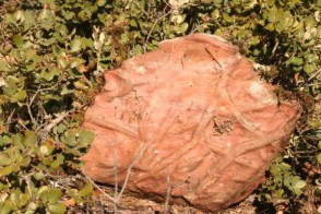 ruta-castro-celada%20199[1]