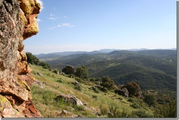 IMG_3503[1]_thumb[1]