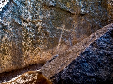 ??????????????????????