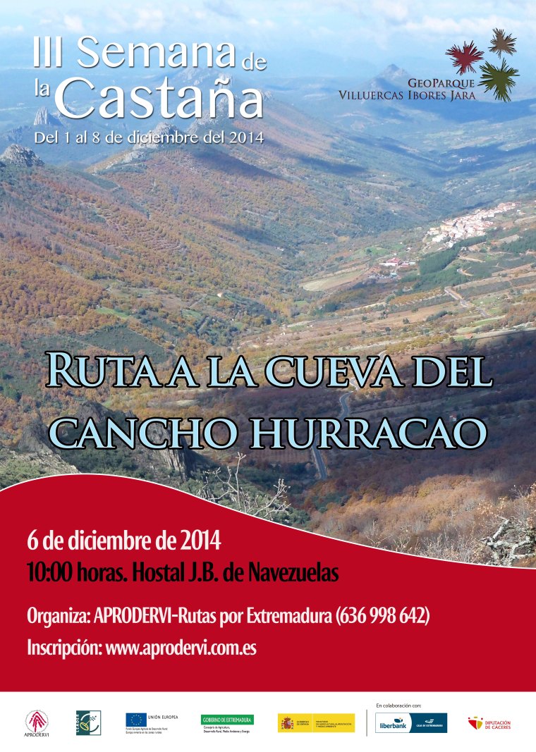 Cartel castañas Generico A2