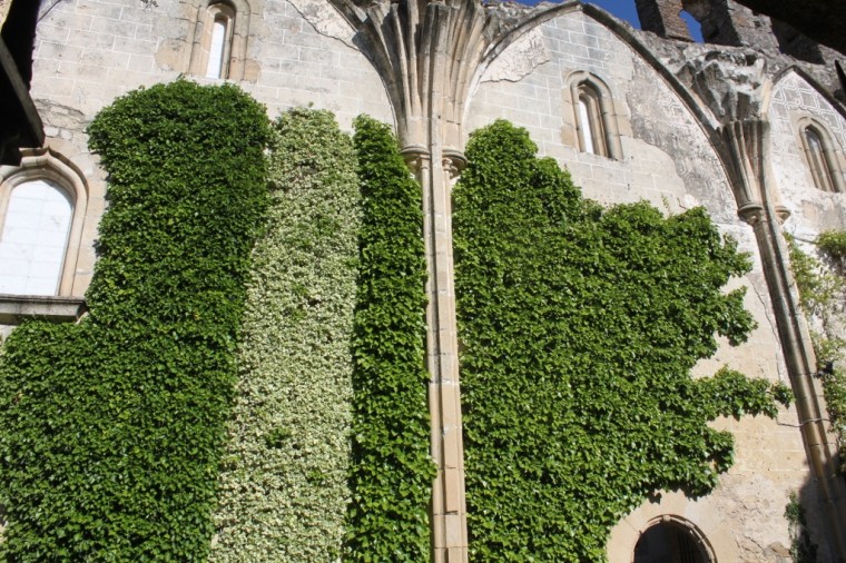 IMG_6397 (2) (1024x683)