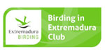 club-birding