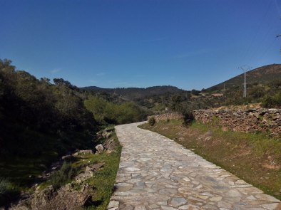 IMG_20160313_110705-(1200x9