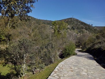 IMG_20160313_111014-(1200x9