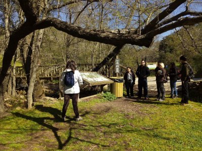 IMG_20160313_111549-(1200x9