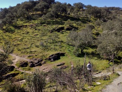 IMG_20160313_113314-(1200x9