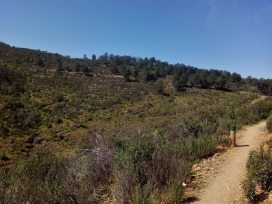 IMG_20160313_120739-(1200x9