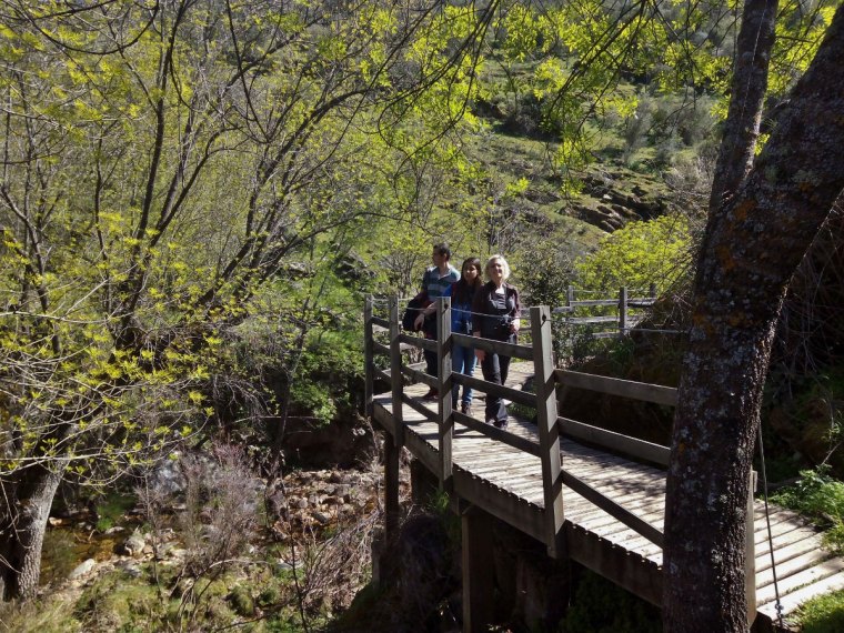 IMG_20160313_141349-(1200x9