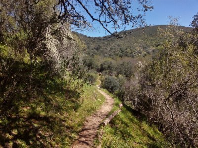 IMG_20160313_141723-(1200x9