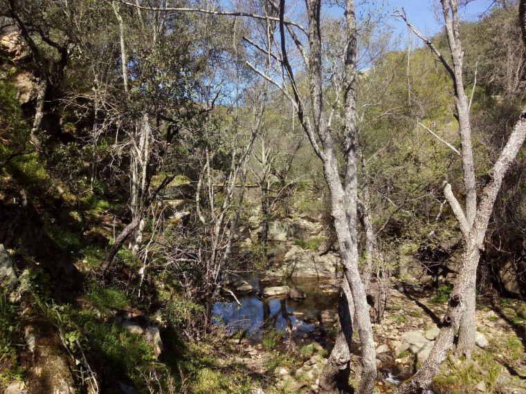 IMG_20160313_142336-(1200x9