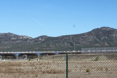 IMG_1911 (1800x1200)