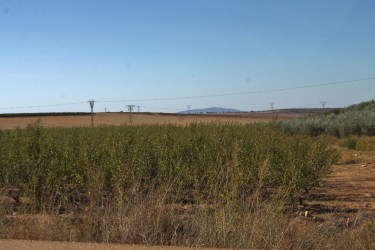 IMG_1919 (1800x1200)