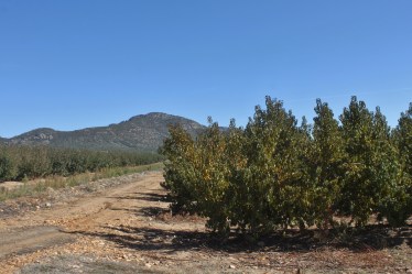 IMG_1922 (1800x1200)