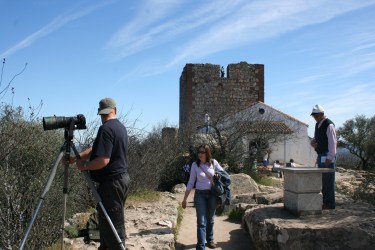 IMG_0013 (1500x1000)