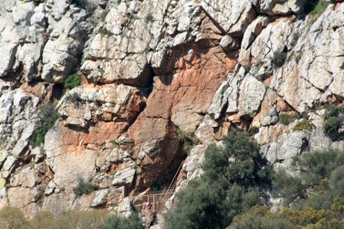 IMG_0076 (1500x1000)