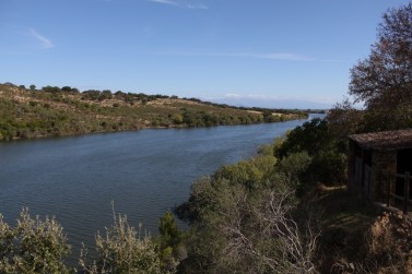 IMG_0211 (1500x1000)