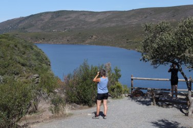 IMG_0227 (1500x1000)