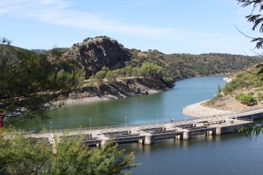 IMG_0232 (1500x1000)