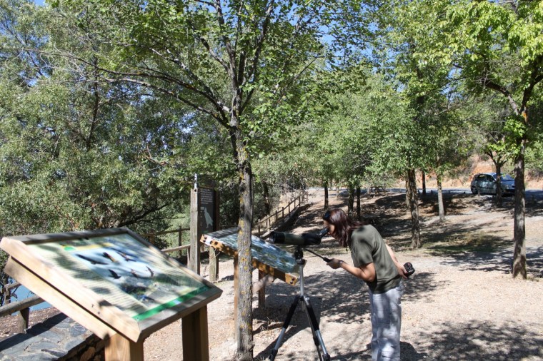 IMG_0239 (1500x1000)