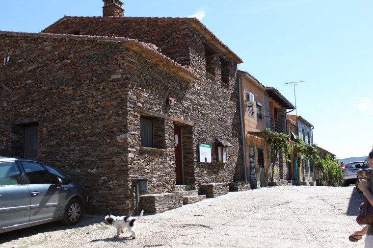 IMG_0271 (1500x1000)