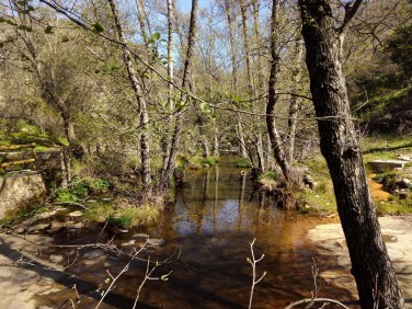 IMG_20160313_111709 (1500x1125)