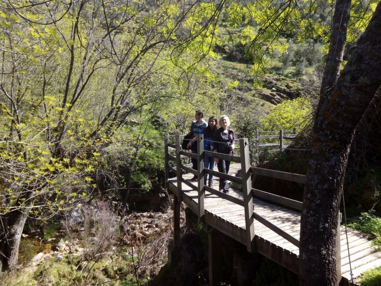 IMG_20160313_141349 (1500x1125)