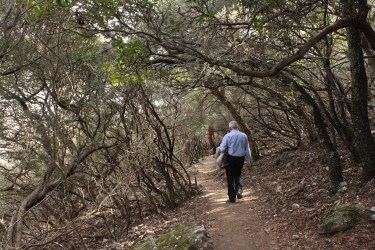 IMG_3758 (1500x1000) (2)