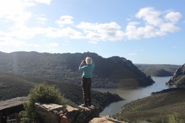 IMG_3763 (1500x1000)