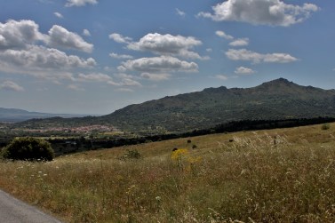 IMG_4406 (1500x1000).jpg